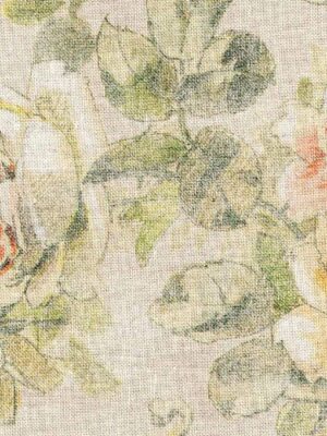 rosa-02