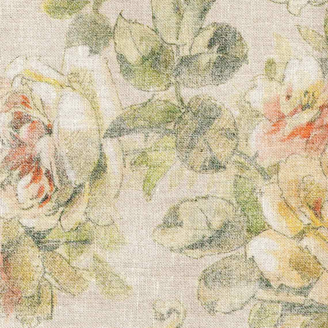 rosa-02