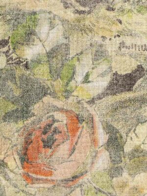 rosa-04