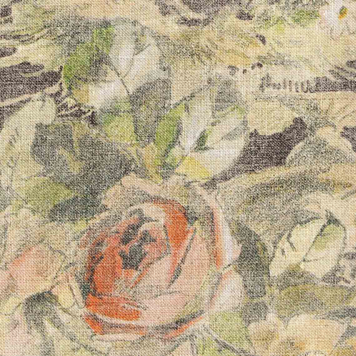 rosa-04